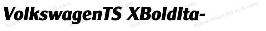 VolkswagenTS XBoldIta字体转换